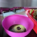 Presa de ulei din inox